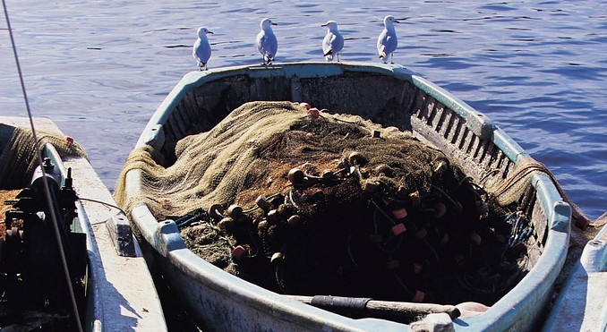 Image courtesy of Tourism Victoria