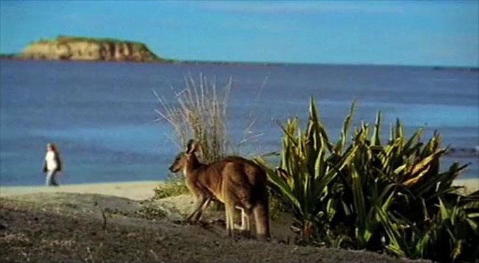 Image courtesy of Tourism New South Wales