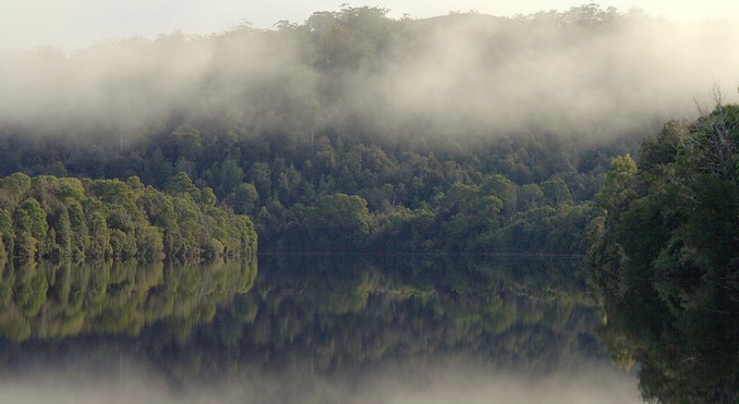 Pieman River