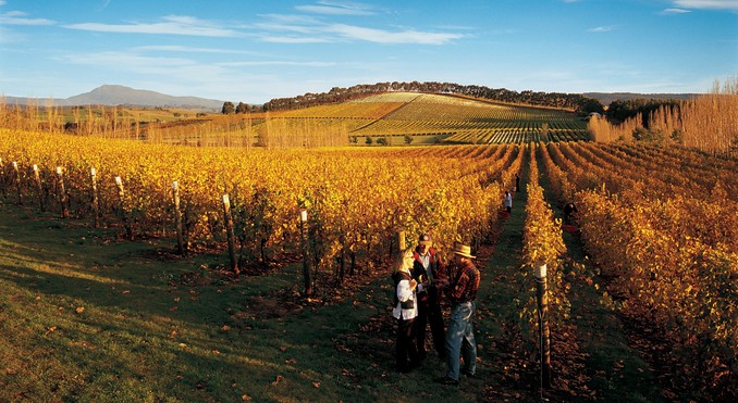 Tourism Tasmania and George Apostolidis