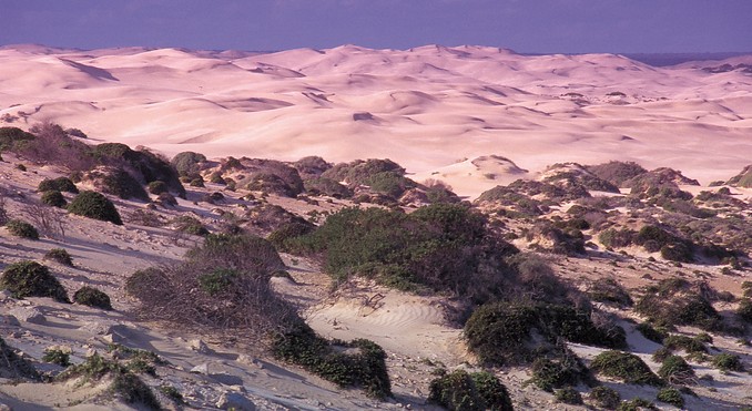 Image courtesy of South Australia