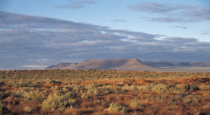 Image courtesy of South Australia