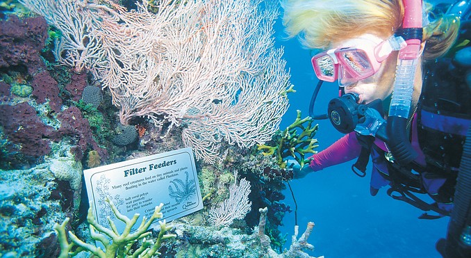 Image courtesy of Tourism Queensland