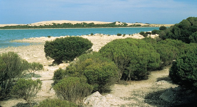 Image courtesy of South Australia