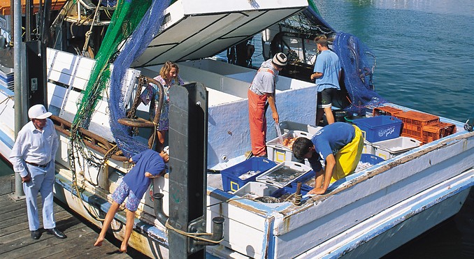Image courtesy of Tourism New South Wales