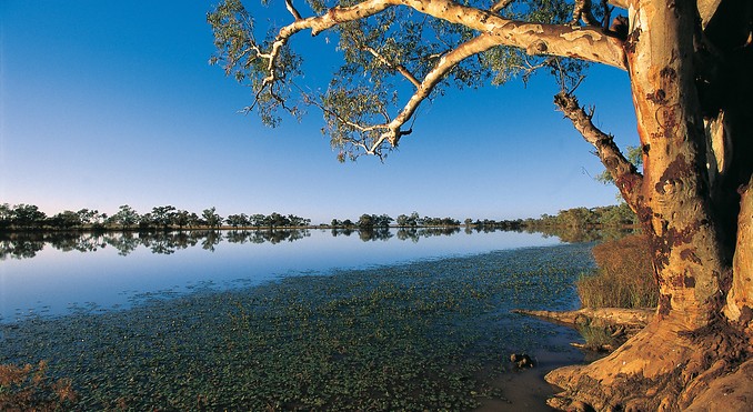 Quilpie