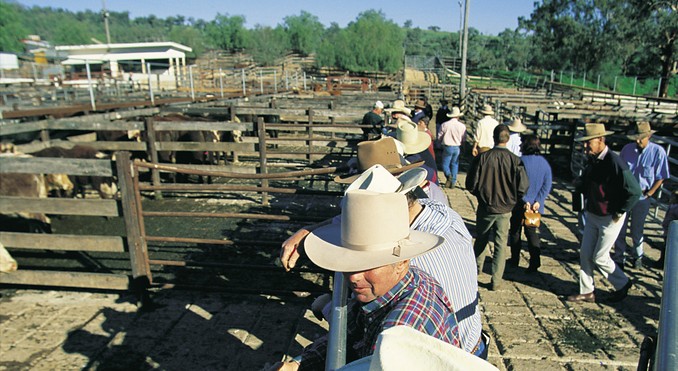 Image courtesy of Tourism New South Wales