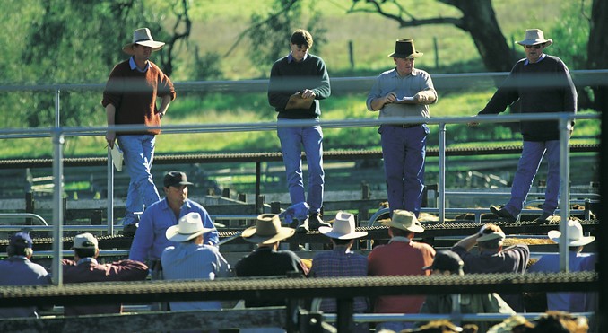 Image courtesy of Tourism New South Wales