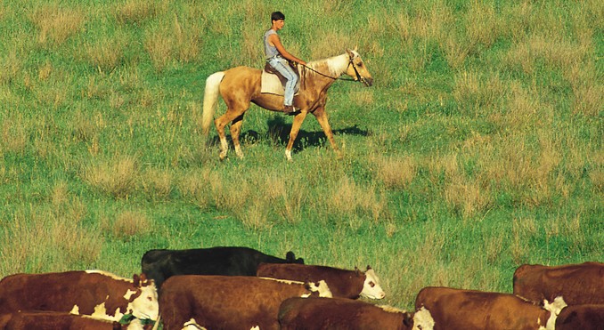 Image courtesy of Tourism New South Wales