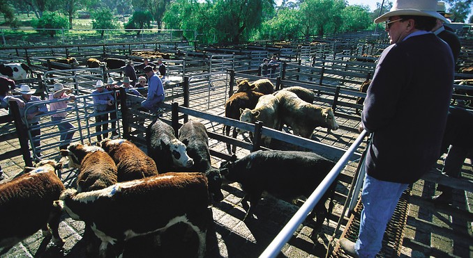 Image courtesy of Tourism New South Wales