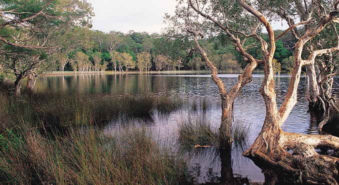 Image courtesy of Tourism Queensland
