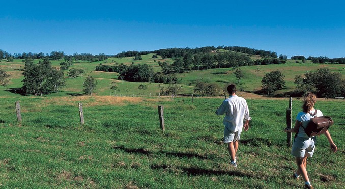 Image courtesy of Tourism Queensland