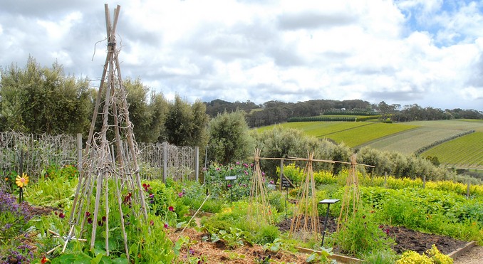 Image courtesy of Tourism Victoria