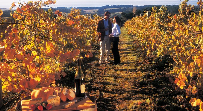 Image courtesy of Tourism Victoria