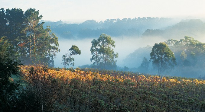 Image courtesy of Tourism Victoria