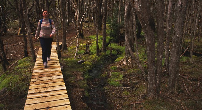 Tourism Tasmania and Geoffrey Lea