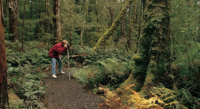 Tourism Tasmania and Geoffrey Lea