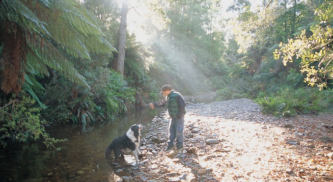 Tourism Tasmania and Geoffrey Lea