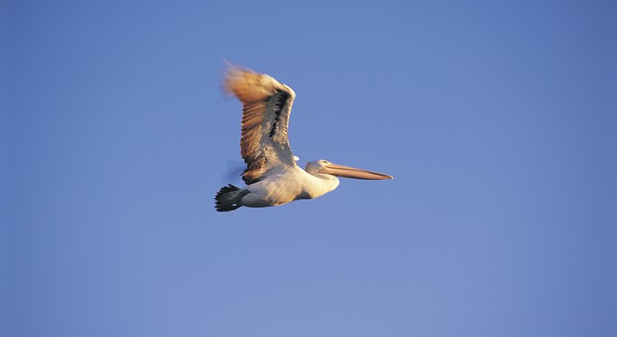 Image courtesy of South Australia