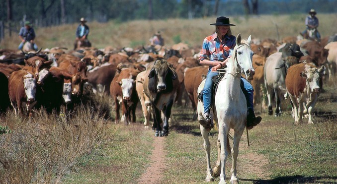 Image courtesy of Tourism Queensland