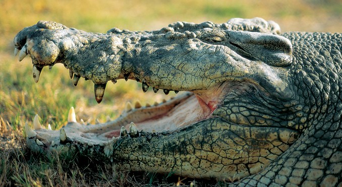 Image courtesy of Tourism Queensland