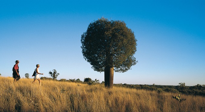 Image courtesy of Tourism Queensland