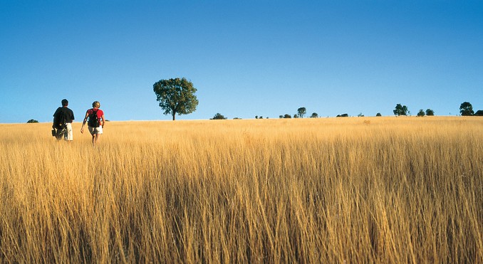 Image courtesy of Tourism Queensland