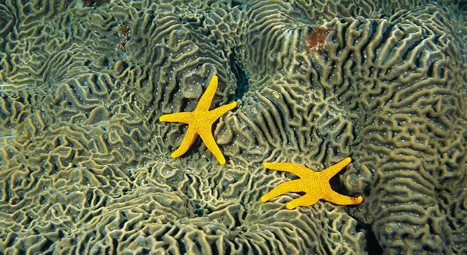 Image courtesy of Western Australia