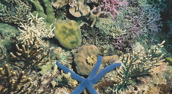 Image courtesy of Western Australia