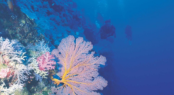 Image courtesy of Western Australia