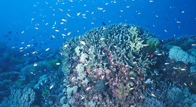 Image courtesy of Western Australia