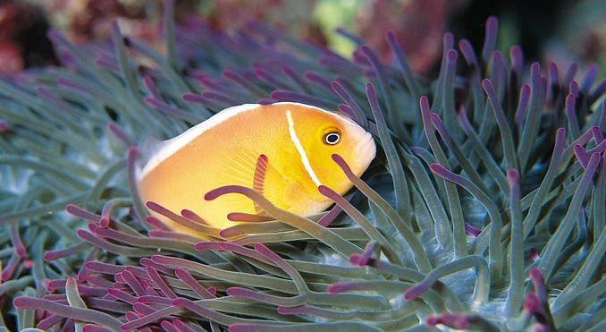 Image courtesy of Western Australia