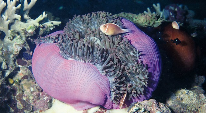 Image courtesy of Western Australia