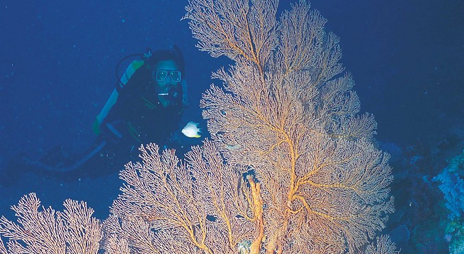 Image courtesy of Western Australia
