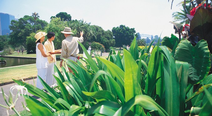 Image courtesy of Tourism New South Wales