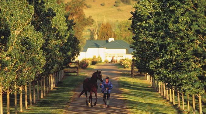 Image courtesy of Tourism New South Wales