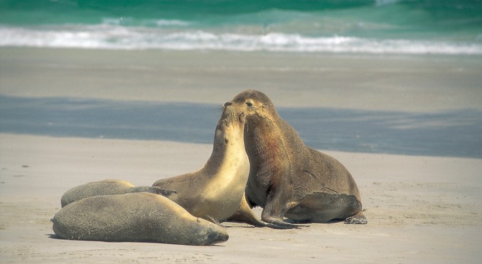 Image courtesy of South Australia