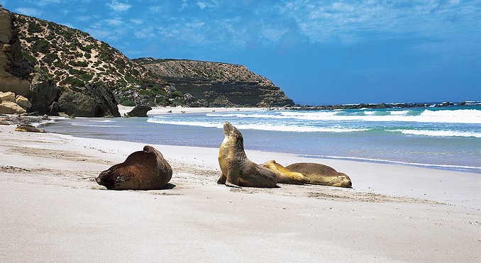 Image courtesy of South Australia