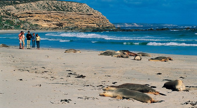 Image courtesy of South Australia