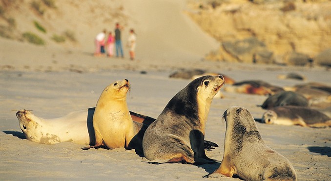 Image courtesy of South Australia