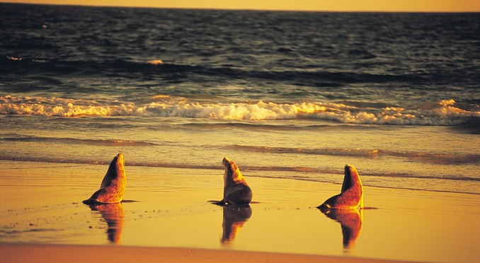 Image courtesy of South Australia
