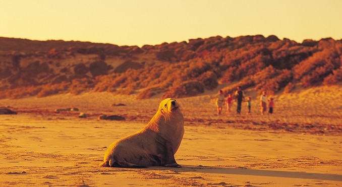 Image courtesy of South Australia