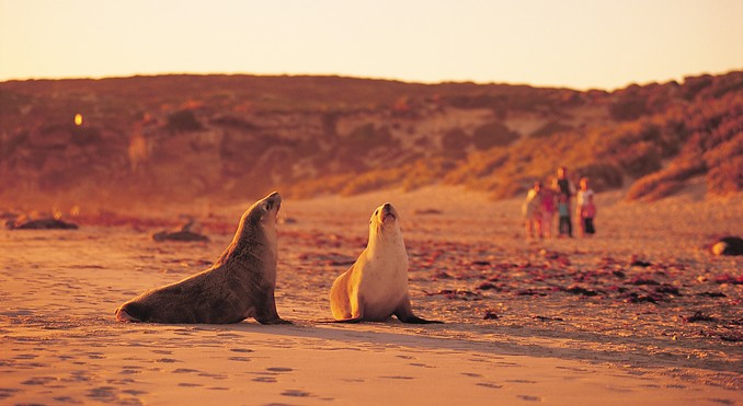 Image courtesy of South Australia