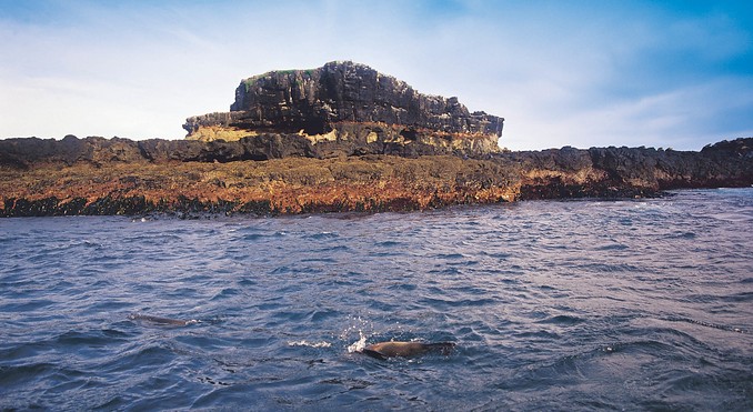 Image courtesy of Tourism Victoria