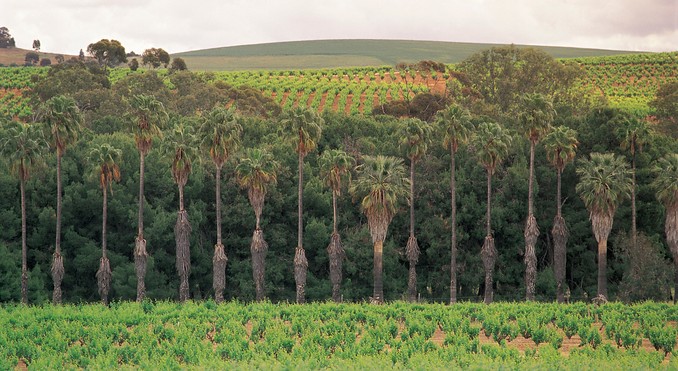 Image courtesy of South Australia