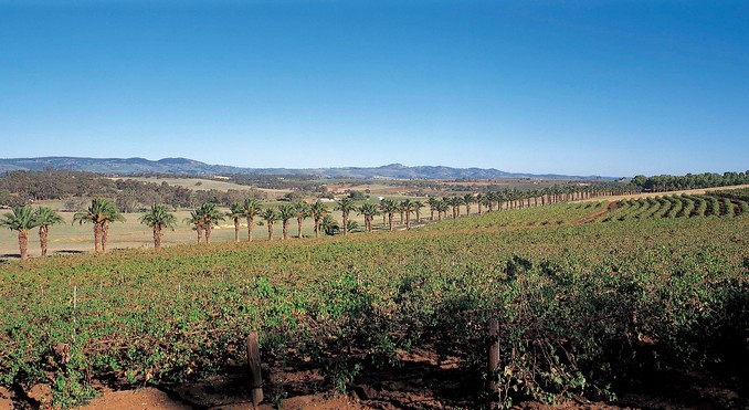 Image courtesy of South Australia