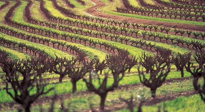 Image courtesy of South Australia