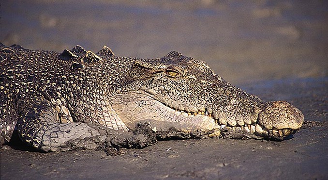 Image courtesy of Tourism NT