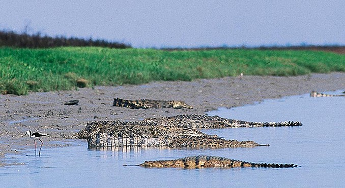 Image courtesy of Tourism NT