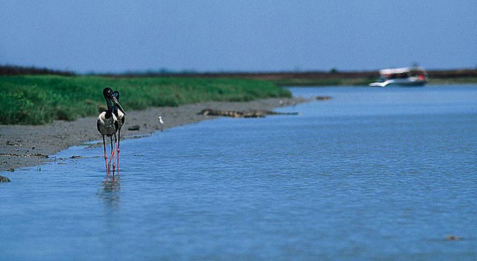 Image courtesy of Tourism NT